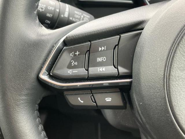 ＣＸ－３ １５Ｓツーリング　保証書／純正　ＳＤナビ／衝突安全装置／全方位モニター／車線逸脱防止支援システム／ヘッドランプ　ＬＥＤ／ＥＴＣ／ＥＢＤ付ＡＢＳ／横滑り防止装置／アイドリングストップ／フロントモニター／サイドモニター（27枚目）