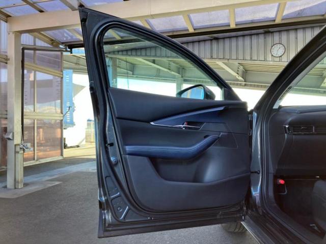 �u���̎Ԃ̎ʐ^�������ƌ������v�u��Ԃ��C�ɂȂ�v�u���̑����͂��Ă���H�v�ǂ�ȏ����ȋ^��ł����C�y�ɂ��₢���킹���������I