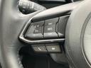 １５Ｓツーリング　保証書／純正　ＳＤナビ／衝突安全装置／全方位モニター／車線逸脱防止支援システム／ヘッドランプ　ＬＥＤ／ＥＴＣ／ＥＢＤ付ＡＢＳ／横滑り防止装置／アイドリングストップ／フロントモニター／サイドモニター（27枚目）