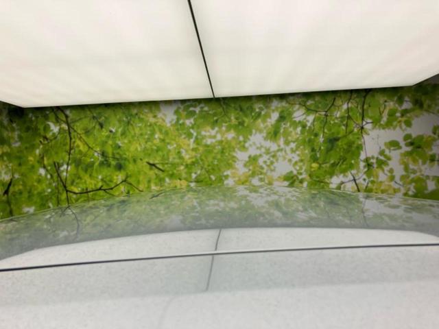 ハイゼットカーゴ 4WDデラックス 新品タイヤ/保証書/スマートアシスト(トヨタ・ダイハツ)/ETC/EBD付ABS/横滑り防止装置/アイドリングストップ/エアバッグ 運転席/エアバッグ 助手席/衝突安全ボディ/パワーウインドウ 4WD(48枚目)