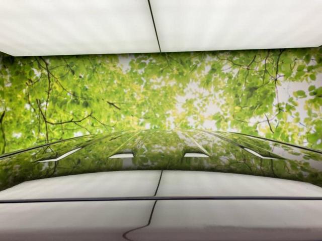 N-BOX SSパッケージ 新品タイヤ/純正 SDナビ/衝突安全装置/両側電動スライドドア/Bluetooth接続/ETC/EBD付ABS/横滑り防止装置/アイドリングストップ/バックモニター/ワンセグTV/DVD バックカメラ(55枚目)