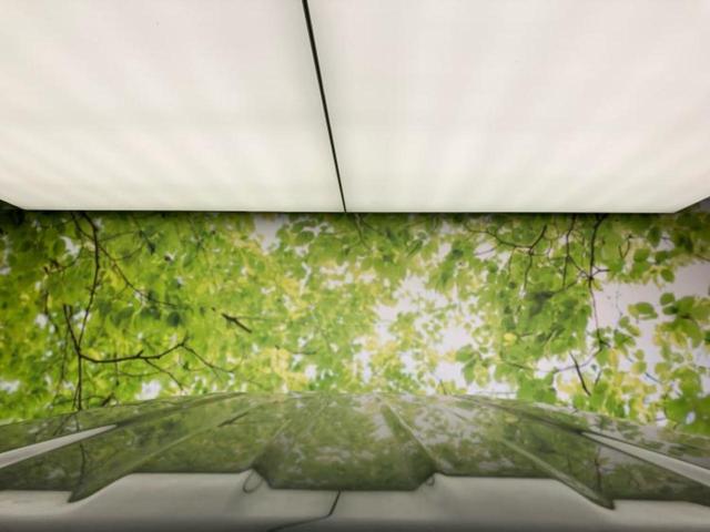 ジムニーシエラ ４ＷＤ　ＪＣ　保証書／純正　ＳＤナビ／衝突安全装置／シートヒーター／車線逸脱防止支援システム／ヘッドランプ　ＬＥＤ／ＥＴＣ／ＥＢＤ付ＡＢＳ／横滑り防止装置／フルセグＴＶ／エアバッグ　運転席／エアバッグ　助手席（52枚目）