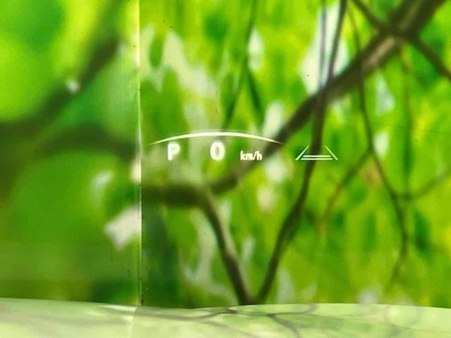 ＮＸ ４ＷＤ　ＮＸ２５０バージョンＬ　サンルーフ／保証書／純正　ＳＤナビ／プリクラッシュセーフティ／シートヒーター　全席／パノラミックビューモニター／車線逸脱防止支援システム／シート　合皮／パーキングアシスト　自動操舵／電動バックドア（41枚目）