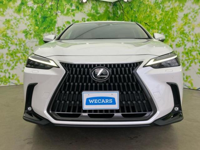 ＮＸ ４ＷＤ　ＮＸ２５０バージョンＬ　サンルーフ／保証書／純正　ＳＤナビ／プリクラッシュセーフティ／シートヒーター　全席／パノラミックビューモニター／車線逸脱防止支援システム／シート　合皮／パーキングアシスト　自動操舵／電動バックドア（43枚目）