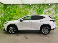 ףţãңӤκ߸˥ڡˤ꤬ȤޤףţãңӤϡ֤פåȡˤͤΥ饤դϤǥݡȤޤ 2