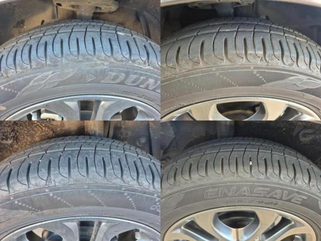 �u���̎Ԃ̎ʐ^�������ƌ������v�u��Ԃ��C�ɂȂ�v�u���̑����͂��Ă���H�v�ǂ�ȏ����ȋ^��ł����C�y�ɂ��₢���킹���������I