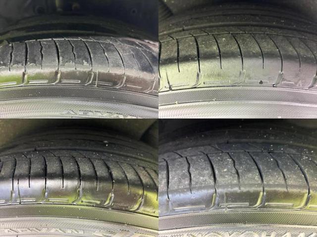 �u���̎Ԃ̎ʐ^�������ƌ������v�u��Ԃ��C�ɂȂ�v�u���̑����͂��Ă���H�v�ǂ�ȏ����ȋ^��ł����C�y�ɂ��₢���킹���������I