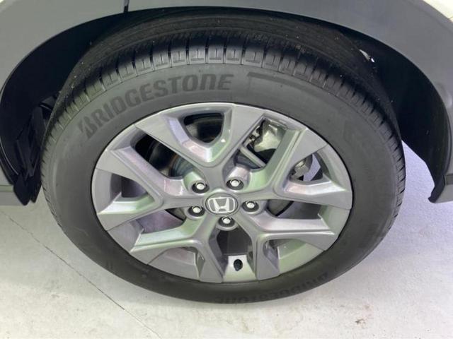 �u���̎Ԃ̎ʐ^�������ƌ������v�u��Ԃ��C�ɂȂ�v�u���̑����͂��Ă���H�v�ǂ�ȏ����ȋ^��ł����C�y�ɂ��₢���킹���������I