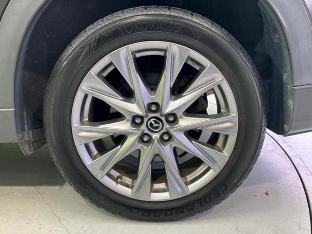 �u���̎Ԃ̎ʐ^�������ƌ������v�u��Ԃ��C�ɂȂ�v�u���̑����͂��Ă���H�v�ǂ�ȏ����ȋ^��ł����C�y�ɂ��₢���킹���������I