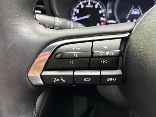 ＭＡＺＤＡ３ファストバック ２０Ｓプロアクティブツーリングセレクション　ＢＯＳＥ／保証書／ディスプレイオーディオ／衝突安全装置／シートヒーター／全方位モニター／車線逸脱防止支援システム／シート　フルレザー／ドライブレコーダー　純正／ヘッドランプ　ＬＥＤ／ＵＳＢジャック（25枚目）