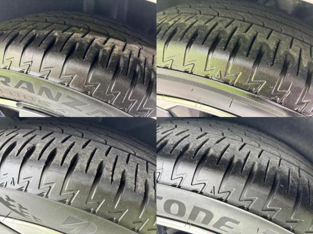 �u���̎Ԃ̎ʐ^�������ƌ������v�u��Ԃ��C�ɂȂ�v�u���̑����͂��Ă���H�v�ǂ�ȏ����ȋ^��ł����C�y�ɂ��₢���킹���������I