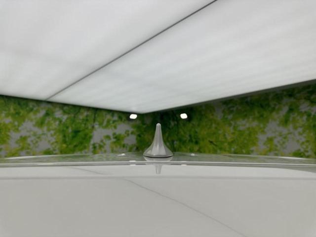 アルファード Ｓ　Ｃパッケージ　新品タイヤ／ツインムーンルーフ／保証書／ディスプレイオーディオ９インチ／デジタルインナーミラー／トヨタセーフティセンス／両側電動スライドドア／エアーシート　前席／車線逸脱防止支援システム　サンルーフ（44枚目）