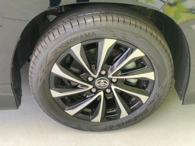 �u���̎Ԃ̎ʐ^�������ƌ������v�u��Ԃ��C�ɂȂ�v�u���̑����͂��Ă���H�v�ǂ�ȏ����ȋ^��ł����C�y�ɂ��₢���킹���������I