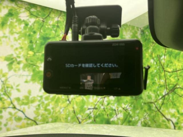 �u���̎Ԃ̎ʐ^�������ƌ������v�u��Ԃ��C�ɂȂ�v�u���̑����͂��Ă���H�v�ǂ�ȏ����ȋ^��ł����C�y�ɂ��₢���킹���������I