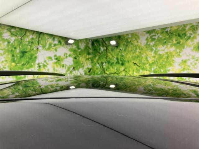 デリカミニ Ｇプレミアム　保証書／ディスプレイオーディオ９インチ／デジタルルームミラー／イーアシスト（ミツビシ）／両側電動スライドドア／シートヒーター　前席／マルチアラウンドモニター／車線逸脱防止支援システム　バックカメラ（35枚目）