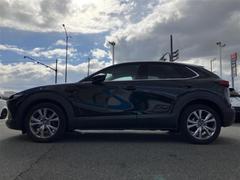 �ףţã��ңӤκ߸˥ڡ������������������ˤ��꤬�Ȥ��������ޤ����ףţã��ңӤϡ֤��������פ��åȡ��ˤ����ͤΥ����饤�դ����Ϥǥ��ݡ��Ȥ������ޤ��� 2