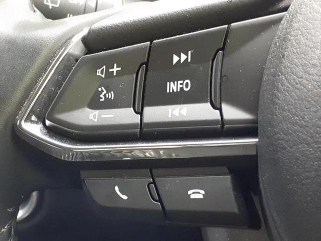 ＣＸ－５ ２０Ｓプロアクティブ　新品タイヤ／保証書／純正　ＳＤナビ／衝突安全装置／車線逸脱防止支援システム／ヘッドランプ　ＬＥＤ／Ｂｌｕｅｔｏｏｔｈ接続／ＥＴＣ／ＥＢＤ付ＡＢＳ／横滑り防止装置／アイドリングストップ　バックカメラ（36枚目）