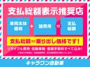 Ｍ　１年保証付　ＥＴＣ・ＴＶナビ・Ｂモニター付・ドライブレコーダー付・車検・整備付(45枚目)