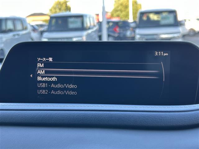 CX-30 20S プロアクティブ ツーリングセレクション ワンオーナー 純正8インチSDナビ CD DVD BTオーディオ USB HDMI フルセグTV スマートブレーキサポート レーンキープアシスト AT誤発信抑制制御 車線逸脱警報 接近車両検知(3枚目)