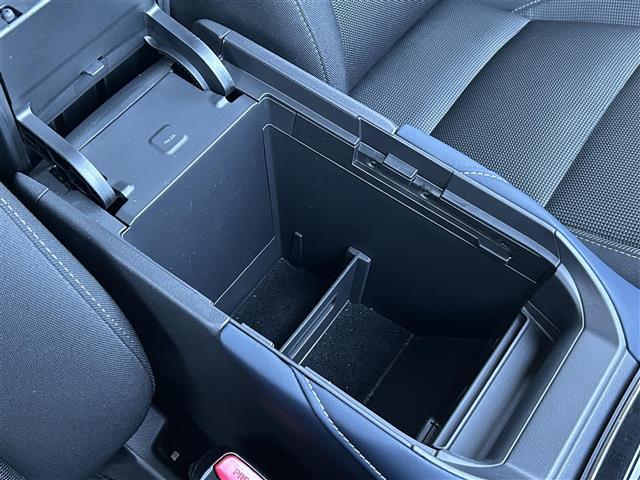 CX-30 20S プロアクティブ ツーリングセレクション ワンオーナー 純正8インチSDナビ CD DVD BTオーディオ USB HDMI フルセグTV スマートブレーキサポート レーンキープアシスト AT誤発信抑制制御 車線逸脱警報 接近車両検知(15枚目)