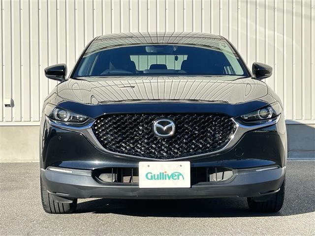 CX-30 20S プロアクティブ ツーリングセレクション ワンオーナー 純正8インチSDナビ CD DVD BTオーディオ USB HDMI フルセグTV スマートブレーキサポート レーンキープアシスト AT誤発信抑制制御 車線逸脱警報 接近車両検知(29枚目)