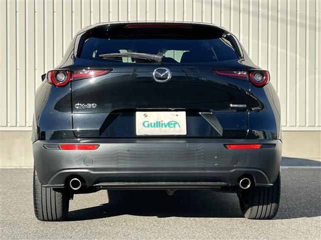 CX-30 20S プロアクティブ ツーリングセレクション ワンオーナー 純正8インチSDナビ CD DVD BTオーディオ USB HDMI フルセグTV スマートブレーキサポート レーンキープアシスト AT誤発信抑制制御 車線逸脱警報 接近車両検知(30枚目)