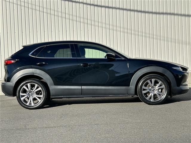 CX-30 20S プロアクティブ ツーリングセレクション ワンオーナー 純正8インチSDナビ CD DVD BTオーディオ USB HDMI フルセグTV スマートブレーキサポート レーンキープアシスト AT誤発信抑制制御 車線逸脱警報 接近車両検知(31枚目)