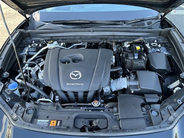 CX-30 20S プロアクティブ ツーリングセレクション ワンオーナー 純正8インチSDナビ CD DVD BTオーディオ USB HDMI フルセグTV スマートブレーキサポート レーンキープアシスト AT誤発信抑制制御 車線逸脱警報 接近車両検知(34枚目)