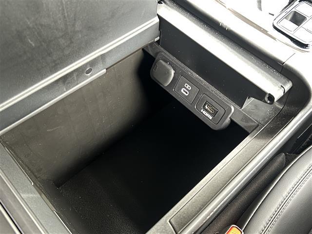 アルファード Z ワンオーナー 左右独立ムーンルーフ 両側パワースライドドア 純正14インチディスプレイオーディオ ナビ フルセグTV Bluetooth パノラミックビューモニター デジタルインナーミラー(22枚目)