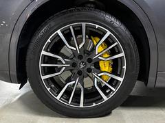 ���쥫���� �ǣԡ��������ʡ����ѥΥ�ޣӣҡ�������������ס��������������ѡ� 0508766A30251221W001 3