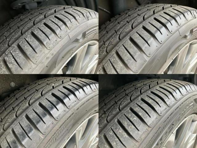 �u���̎Ԃ̎ʐ^�������ƌ������v�u��Ԃ��C�ɂȂ�v�u���̑����͂��Ă���H�v�ǂ�ȏ����ȋ^��ł����C�y�ɂ��₢���킹���������I