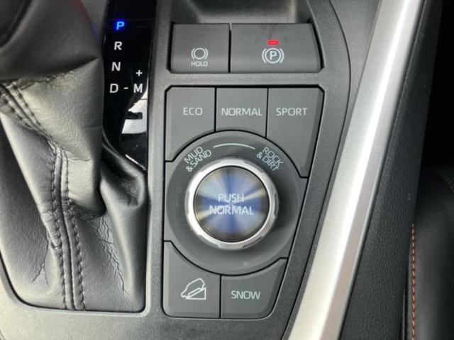 RAV4 4WDアドベンチャー サンルーフ/ディスプレイオーディオ+ナビ10インチ/衝突安全装置/シートヒーター 前席/車線逸脱防止支援システム/シート 合皮/ドライブレコーダー 社外/ヘッドランプ LED 衝突被害軽減システム(28枚目)