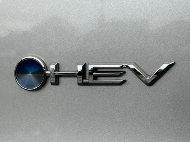 プロボックス GX 保証書/社外 SDナビ/トヨタセーフティセンス/車線逸脱防止支援システム/ドライブレコーダー 前後/USBジャック/Bluetooth接続/ETC/EBD付ABS/横滑り防止装置/アイドリングストップ(51枚目)