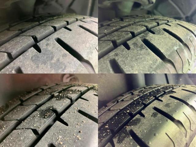 �u���̎Ԃ̎ʐ^�������ƌ������v�u��Ԃ��C�ɂȂ�v�u���̑����͂��Ă���H�v�ǂ�ȏ����ȋ^��ł����C�y�ɂ��₢���킹���������I