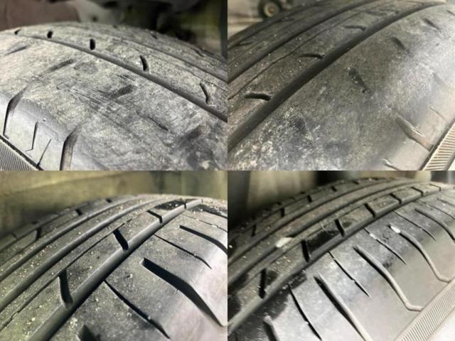 �u���̎Ԃ̎ʐ^�������ƌ������v�u��Ԃ��C�ɂȂ�v�u���̑����͂��Ă���H�v�ǂ�ȏ����ȋ^��ł����C�y�ɂ��₢���킹���������I