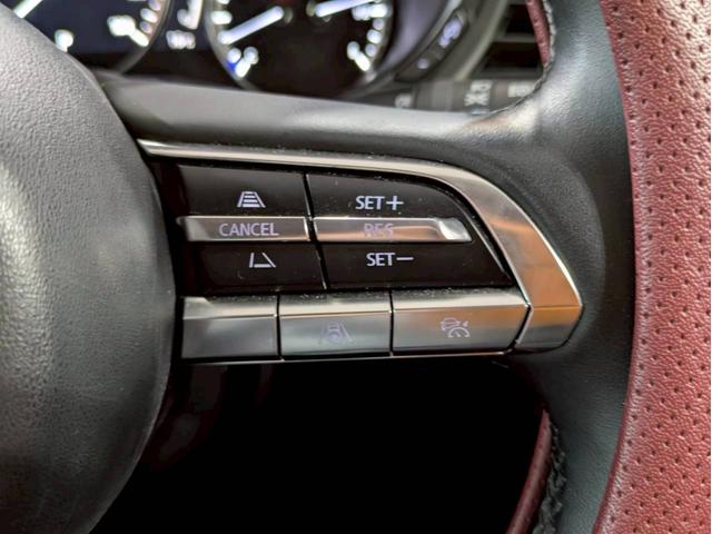 CX-30 20S プロアクティブ ツーリングセレクション 360度セーフティPKG 社外19AW パワーバックドア LEDライト 純正ナビ フルセグTV BT接続 パワーシート シート・ステアヒーター レーダークルーズ ドラレコ ETC ユーザー様直接仕入れ(32枚目)