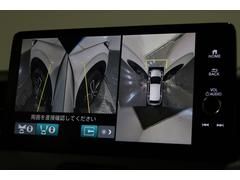 ϥξ庸٤˱ǤФȤǤ־丫̤ΰǤξ㳲ʪγǧ䤹ʤޤ 5