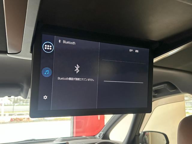 エグゼクティブラウンジ　左右独立ムーンルーフ　ユニバーサルステツプ　リヤエンターテイメント　ＪＢＬサウンド　寒冷地仕様(33枚目)