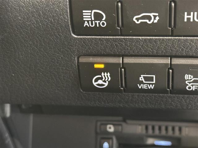 ＲＸ ＲＸ４５０ｈ　Ｆスポーツ　マークレビンソン／ＴＲＤエアロ／１２．３インチナビ／パノラミックビュー／ＥＴＣ２．０／ブラインドスポットモニター／黒革シート／衝突被害軽減／パワーバックドア／カラーＨＵＤ／パワーシート／冷暖シート（29枚目）