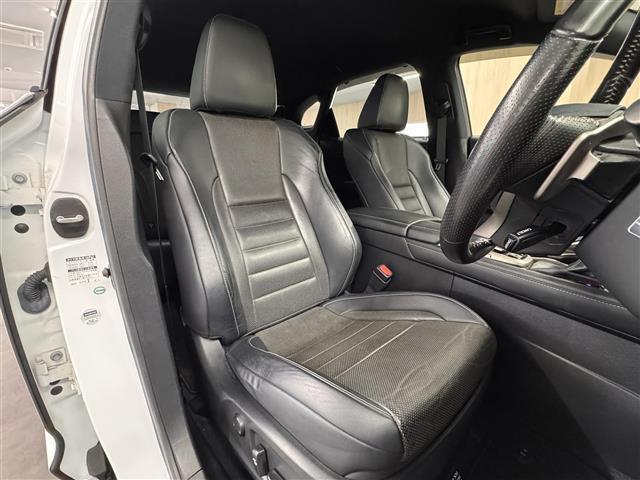 ＲＸ ＲＸ４５０ｈ　Ｆスポーツ　マークレビンソン／ＴＲＤエアロ／１２．３インチナビ／パノラミックビュー／ＥＴＣ２．０／ブラインドスポットモニター／黒革シート／衝突被害軽減／パワーバックドア／カラーＨＵＤ／パワーシート／冷暖シート（40枚目）