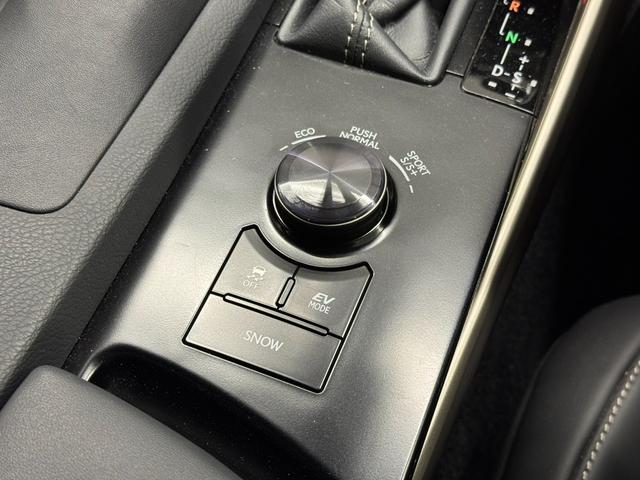 IS IS300h Fスポーツ 7インチナビ/バックカメラ/ドライブレコーダー/ETC/ハーフレザーシート/クリアランスソナー/クルーズコントロール/デュアルオートエアコン/オートライト/オートワイパー/LEDヘッドライト/18AW(12枚目)