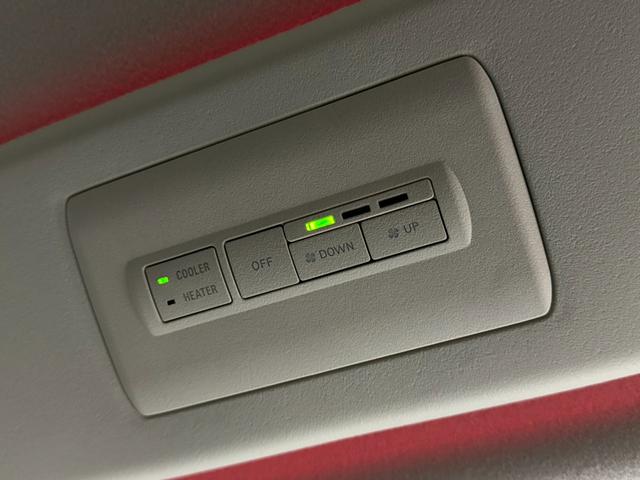 デリカD:5 P エクステリアパッケージ/10.1インチナビ/マルチアラウンドモニター/ETC/電動サイドステップ/ブラインドスポットモニター/衝突被害軽減ブレーキ/レーダークルコン/100V電源/両側パワスラ(34枚目)