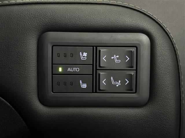 アルファード Z 14インチナビ/パノラミックビュー/ドラレコ/ETC2.0/左右独立ムーンルーフ/黒革シート/ブラインドスポットモニター/2列目冷暖シート/パワーシート/プリクラッシュセーフティ/パワーバックドア(22枚目)