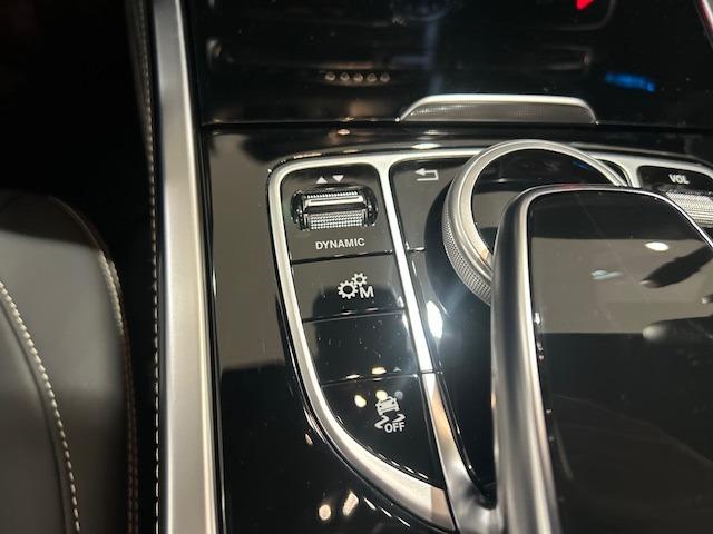Ｇクラス Ｇ４００ｄ　ＡＭＧライン　Ｐｒｏｆｅｓｓｉｏｎａｌ　Ｅｄｉｔｉｏｎ　ナッパレザーシート　プロフェッショナルルーフラック／ラダー／タイヤホルダー　ブルメスターサラウンドシステム　ナイトパッケージ　シートヒーター　シートベンチレー（21枚目）