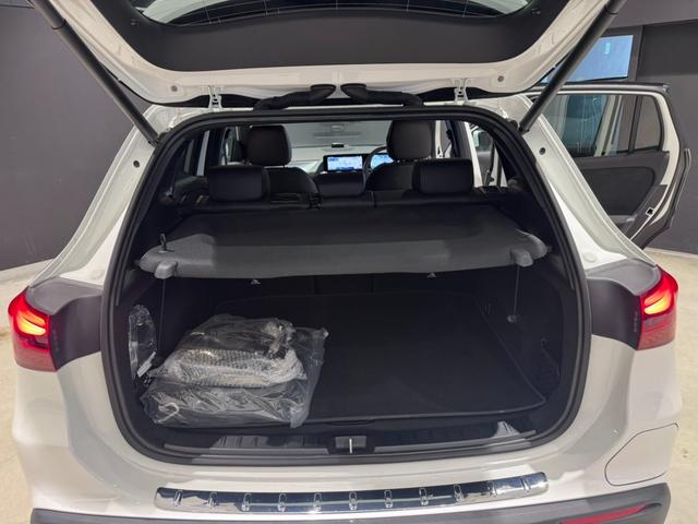 ＥＱＡ ＥＱＡ２５０＋　ＡＭＧラインパッケージ（17枚目）