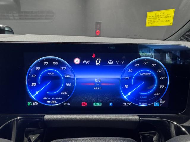 ＥＱＡ ＥＱＡ２５０＋　ＡＭＧラインパッケージ（18枚目）