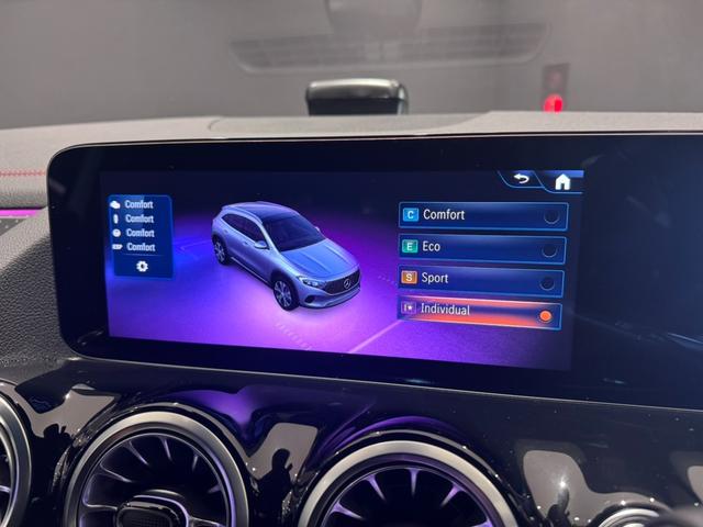 ＥＱＡ ＥＱＡ２５０＋　ＡＭＧラインパッケージ（27枚目）