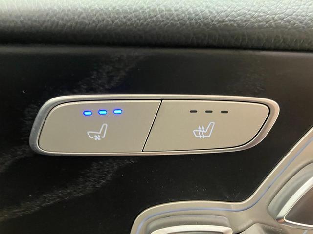 Ｅクラスオールテレイン Ｅ２２０ｄ　４マチック　オールテレイン（33枚目）