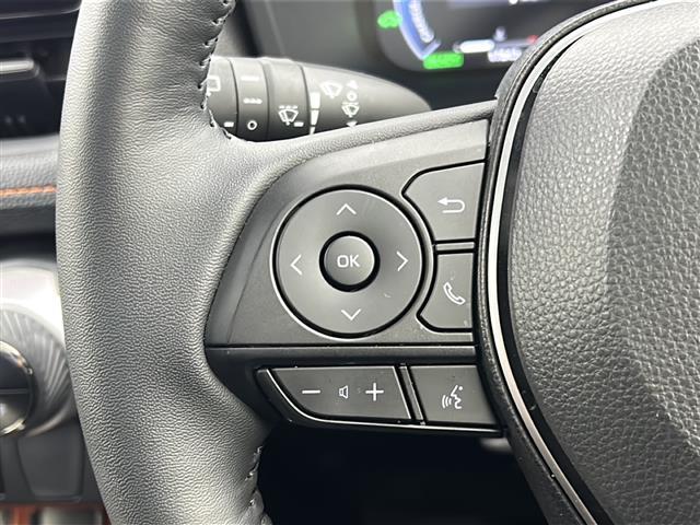 RAV4 ハイブリッドアドベンチャー 禁煙車/サンルーフ/4WD/寒冷地仕様/リアフォグ/トヨタセーフティ/パワーシート/シートメモリー/シートヒーター/ベンチレーション/レザーシート/純正ディスプレイオーディオ/フルセグ/バックカメラ/(24枚目)