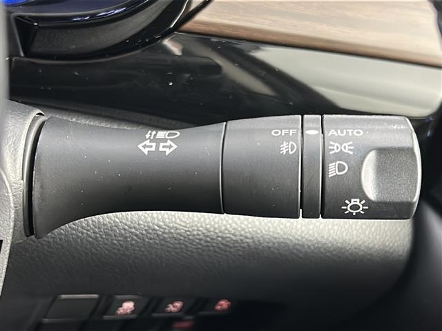 エルグランド 250ハイウェイスターS アーバンクロム 禁煙車/全周囲カメラ/ACC/エマブレ/純正9インチナビ/Bluetooth/ブルーレイ/バックカメラ/両側電動ドア/ハーフレザーシート/ビルトインETC2.0/ナビ連動ドラレコ/LEDヘッドライト(23枚目)